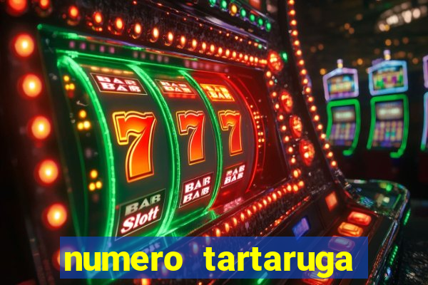 numero tartaruga jogo do bicho